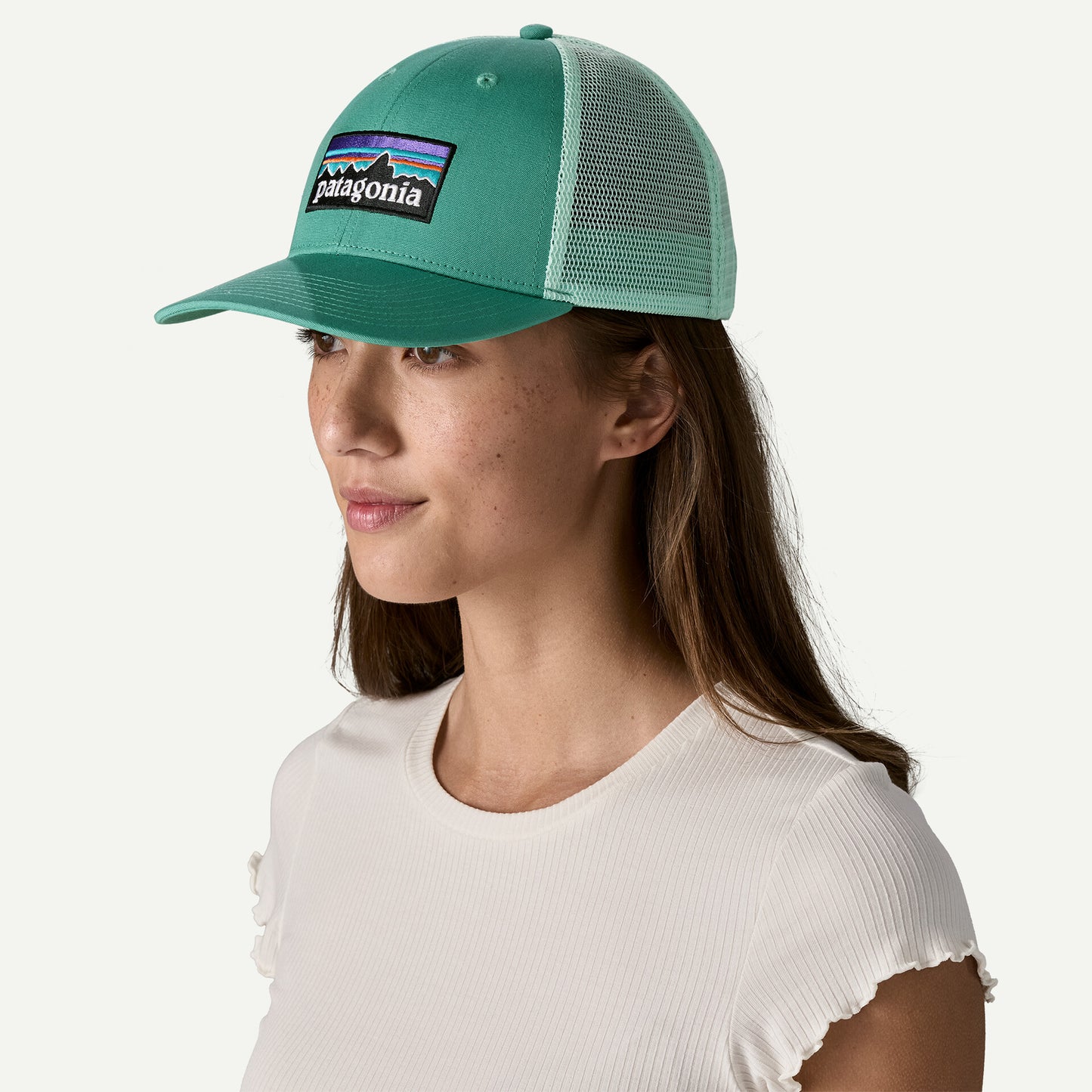 Patagonia P-6 Logo LoPro Trucker Hat